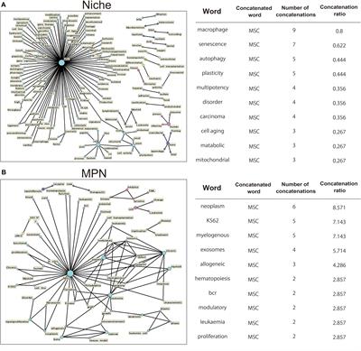 Cellular Heterogeneity of Mesenchymal Stem/Stromal Cells in the Bone Marrow